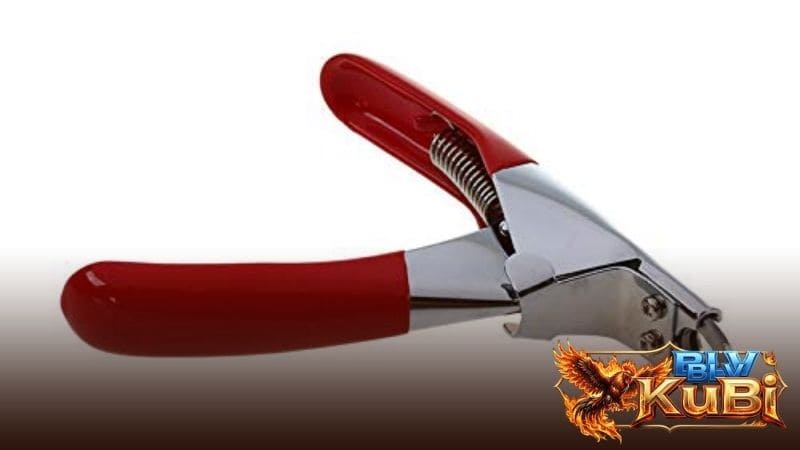 Các dụng cụ cần chuẩn bị trước khi bắt tay vào cắt cựa gà đá