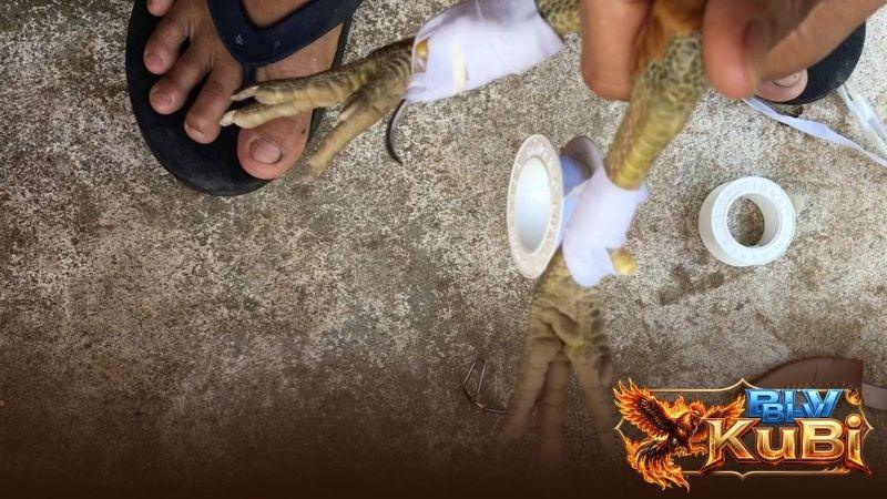 Tìm hiều về kỹ thuật băng cựa gà đá Tìm hiều về kỹ thuật băng cựa gà đá