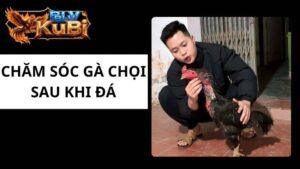 Chăm Sóc Gà Chọi Sau Khi Đá
