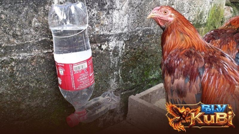 Để bình nước hoặc mát uống ở nơi mát, có nhiều bóng râm