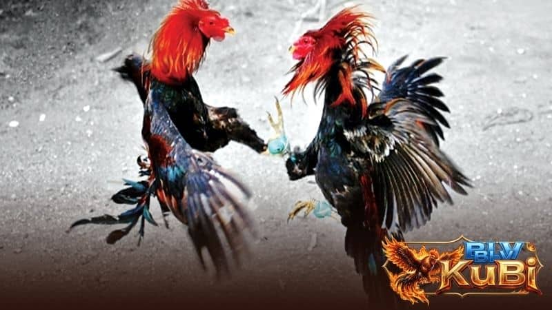 Vần đòn cần tập luyện kỹ càng và có thời gian nghỉ ngơi hợp lý Vần đòn cần tập luyện kỹ càng và có thời gian nghỉ ngơi hợp lý